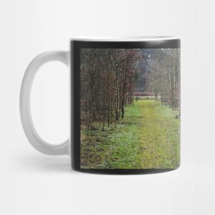 Forest path Mug